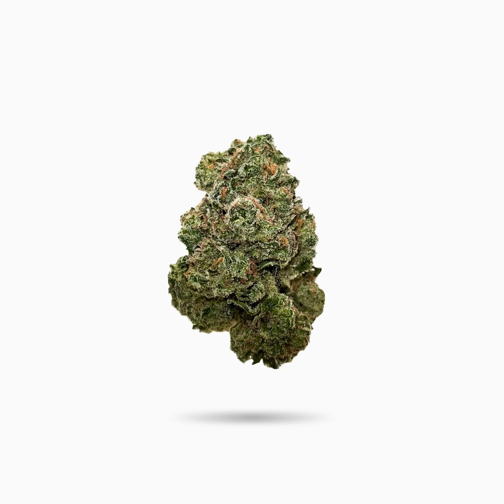 Premium Black Truffle Indica Flower - Image 2