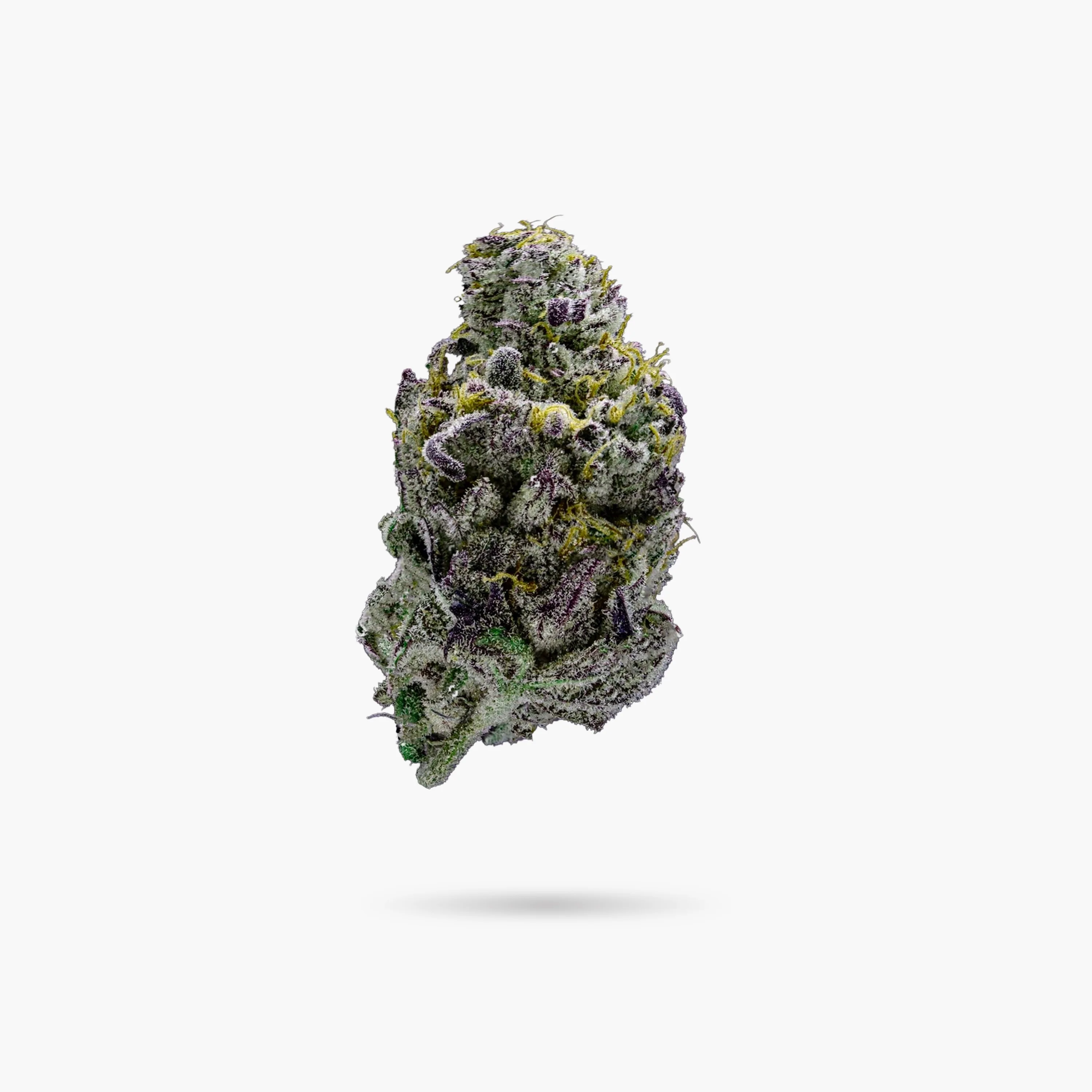 Premium Cheetah Piss Hybrid Flower - Image 2