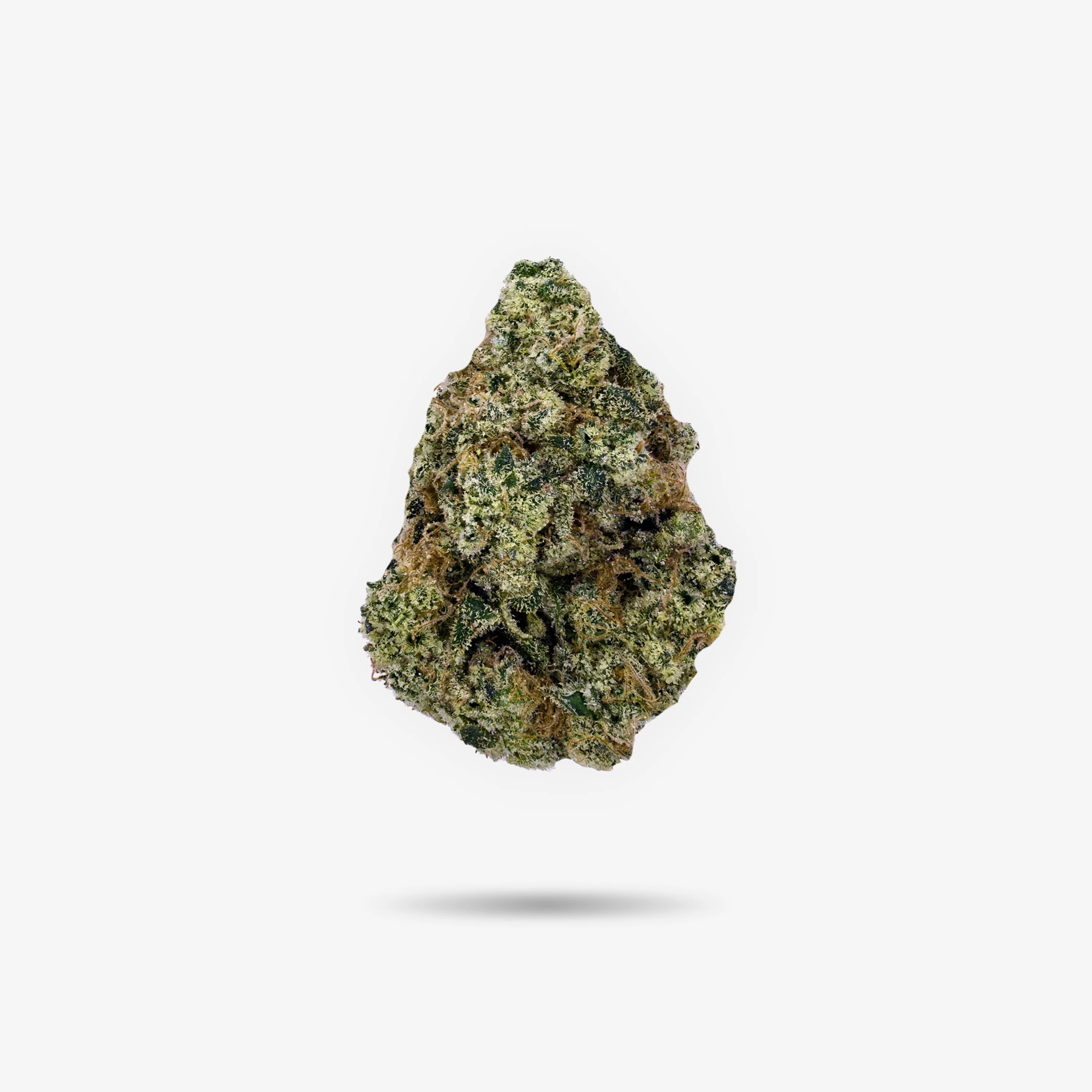 Premium Larry Bird Hybrid Flower - Image 2