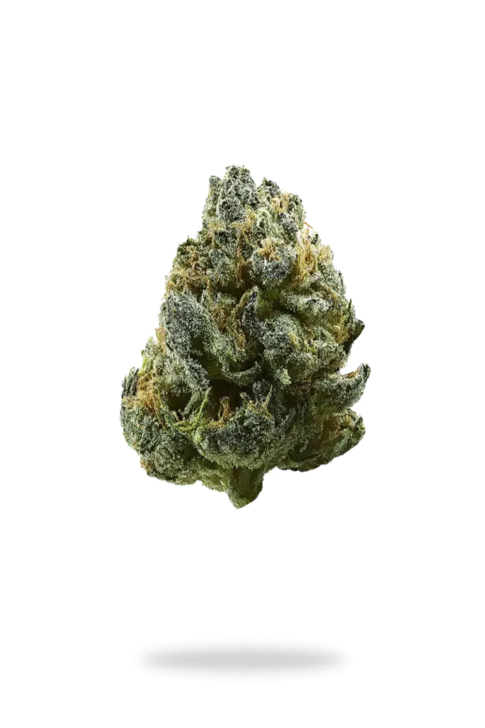 Premium Purple Urkle Indica Flower 7 grams - Image 2