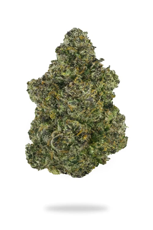 Premium Super Glue Indica Flower - Image 2