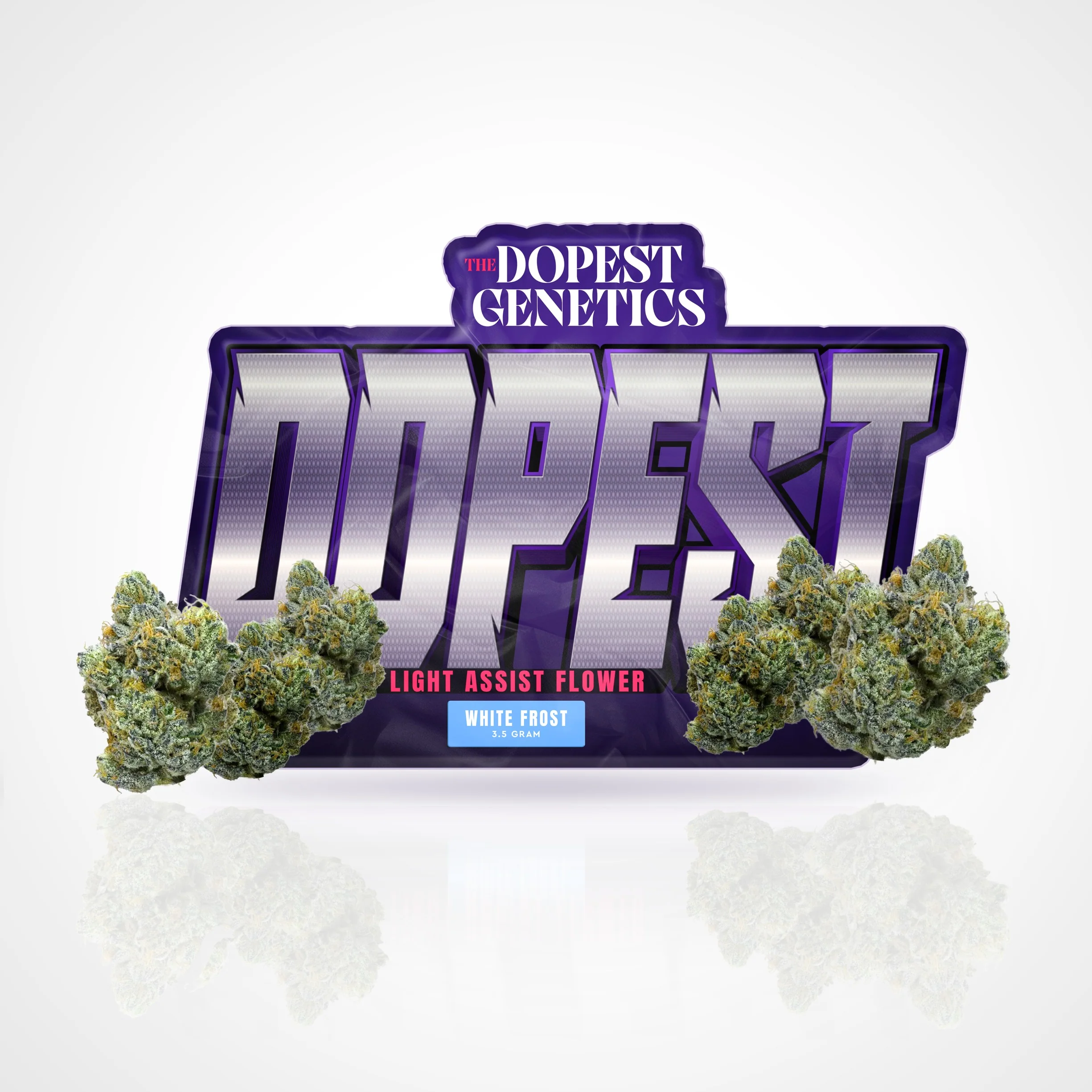 Premium White Frost Hybrid Flower