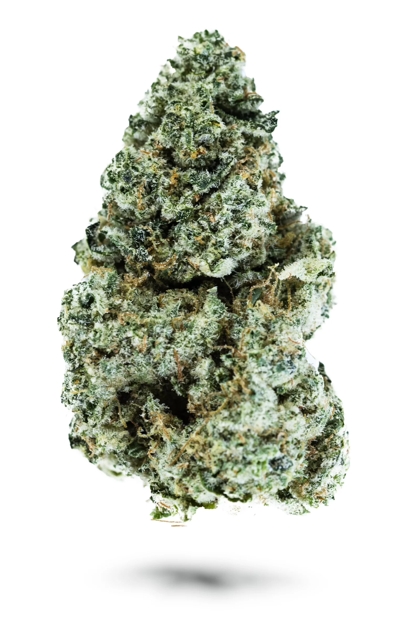Premium Sour OG Hybrid Flower - Image 2
